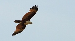 IMG_1582a